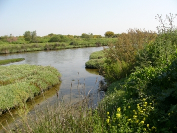 Nakhal Qishon (Kishon River Authority)